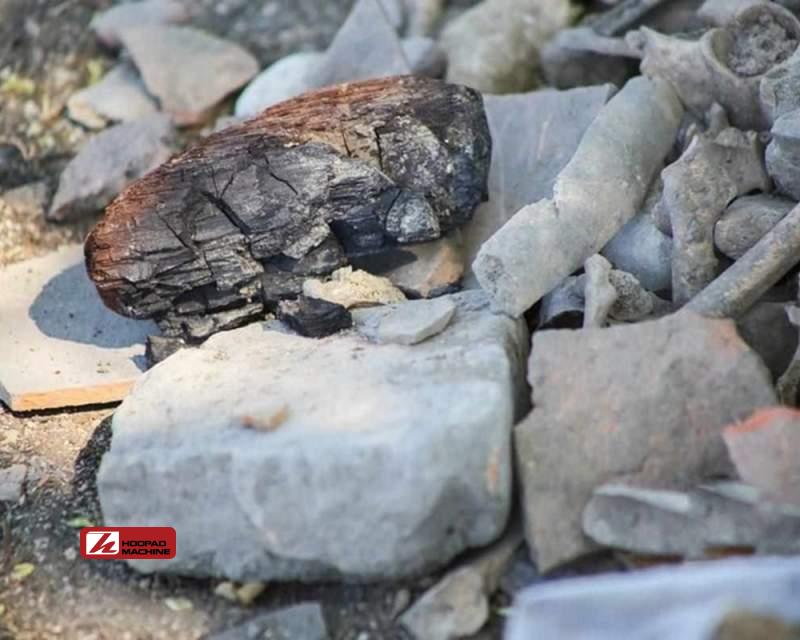 رشد ۱۱ درصدی سودآوری کگهر در نیمه نخست ۱۴۰۴